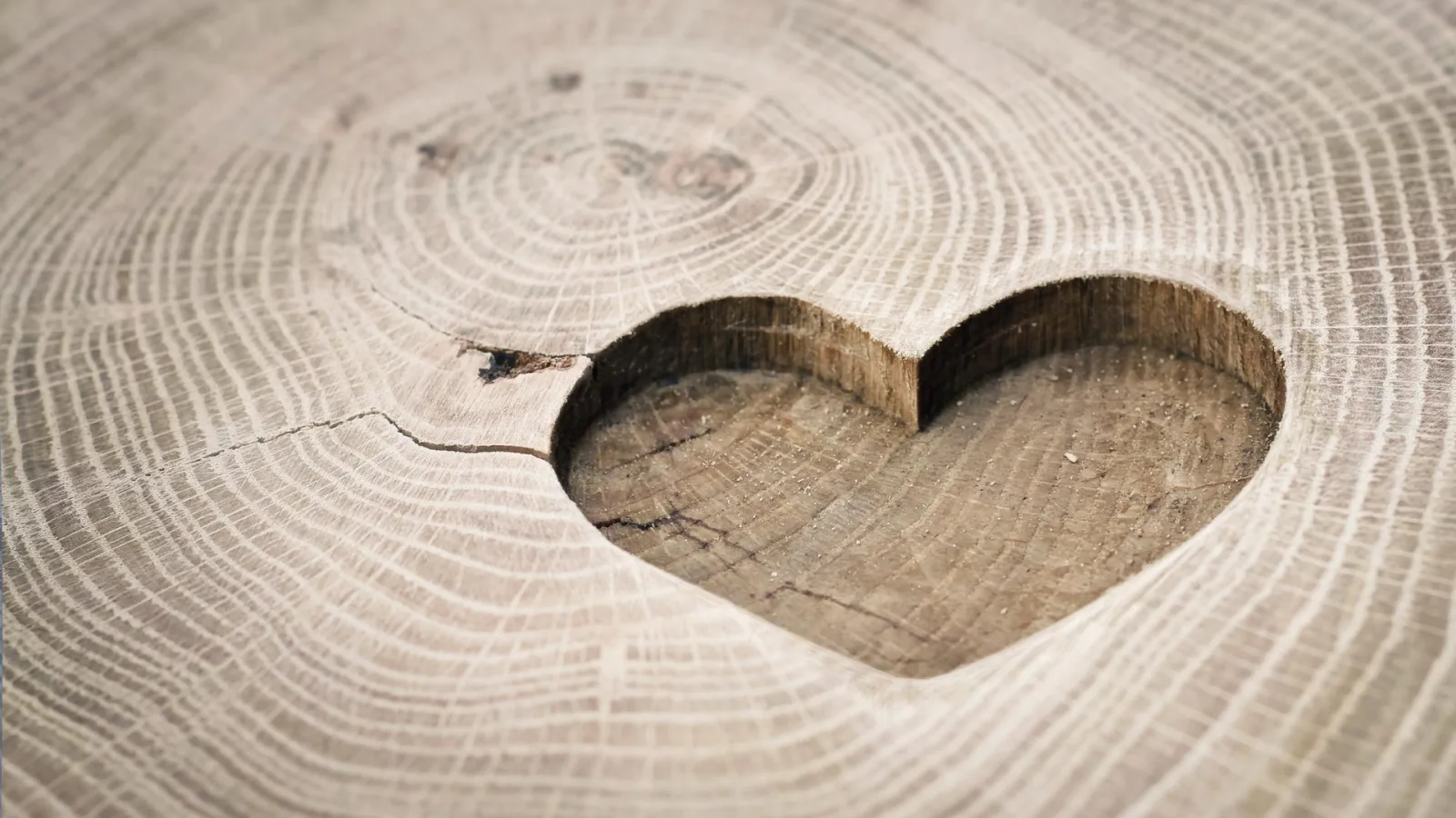 Herzform, gefräst in einen Holzstamm
